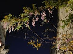 -南塘老街