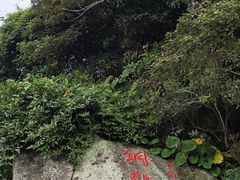 -海南铜鼓岭景区