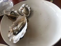 鲜活生蚝-四海鲜渔家菜(黄金海岸店)