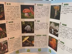 -太婆天府山珍酒楼(亚运村店)