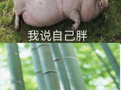 -驴世家驴肉火烧·凉皮·胡辣汤(五道口店)