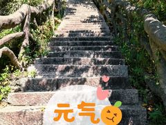 -梧桐山风景名胜区