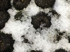 -渔民新村(番禺总店)