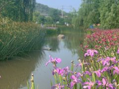 -径山花海