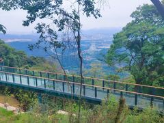 -黄埔油麻山森林公园