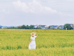 -道林古镇