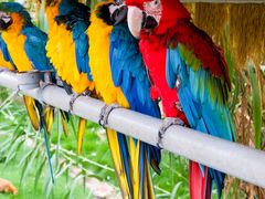 -西霞口神雕山野生动物世界