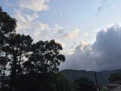 -大埔公路-马料水段香港中文大学(公交站)