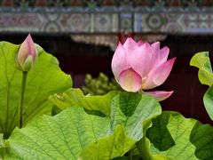 -北京市劳动人民文化宫(太庙)
