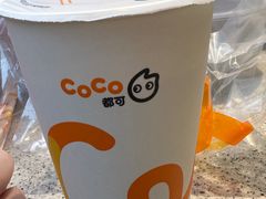 -CoCo都可(光谷天地店)