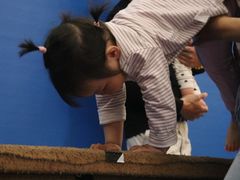 -小小运动馆(浦江店)