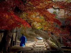 -狼牙山风景区