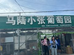 -马陆小张葡萄园农家乐