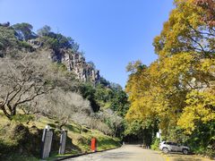 -广州市石门国家森林公园