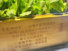 -卢大鲜鱼头捞饭(美利广场店)