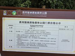-西双版纳原始森林公园