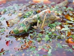 花醉(华置The&nbsp;One)-听香·678茶铺(猛追湾店)