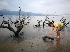 -碧桂园十里银滩