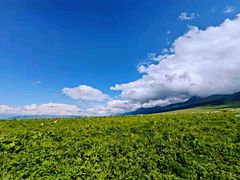 -新疆那拉提国家旅游度假区