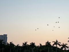 -厦门白鹭洲公园