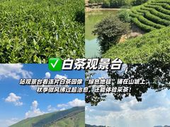 -阿露佳·舌尖上的安吉菜