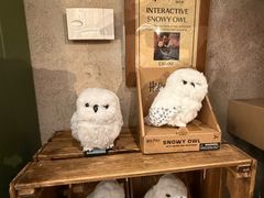 -九又四分之三站台哈利波特商店