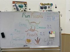 -神奇科学家STEAM科学实验科创赛事机器人编程逻辑思维MadScience(长宁来福士校区)
