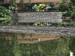 -云溪植物园