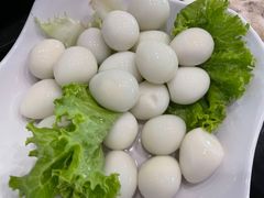 -新泰火锅城(蛟翔店)
