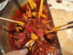 -小龙坎火锅(春熙太古里店)