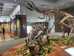 -自贡恐龙博物馆