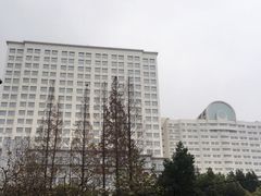 -上海市普陀区中心医院