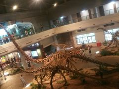 -自贡恐龙博物馆