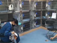 -特一安24小时宠物医院·骨科·中兽医