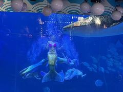 -烟台海昌鲸鲨海洋公园