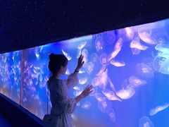 -左海海底世界