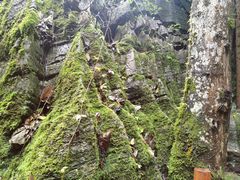 -梭布垭石林景区