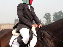 -上林马术中央公园·户外露营·团建·骑乘