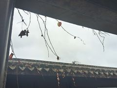 -王阳明故居