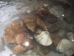 -马路边上·小海鲜烧烤(八一路店)