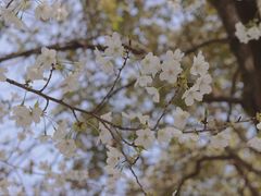 -浙江万里学院(钱湖校区)