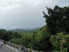 -深圳仙湖植物园