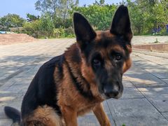 -沈阳辉山风景区