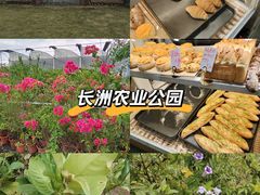 -长洲岛都市农业公园