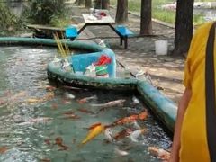 -北戴河集发农业梦想王国
