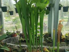 -国家植物园南园