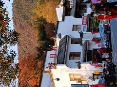 -塔川景区