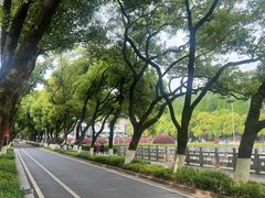 -魏记里脊肉炸炸炸(南门口店)