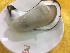-蚝专家(北滘店)