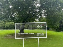 -鲁镇